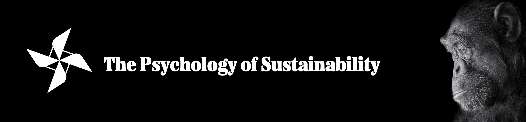 A poster for The psychology of sustainability 