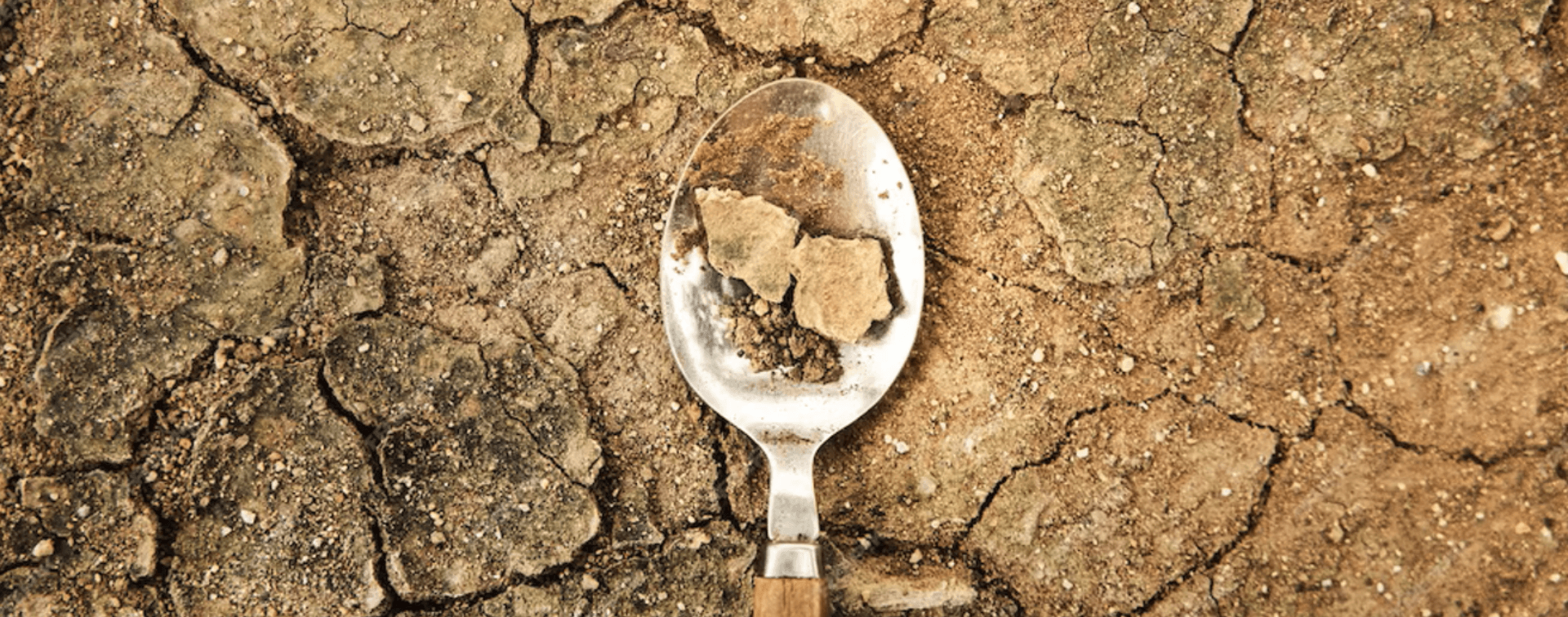 An image of Reboot Food Campaign
